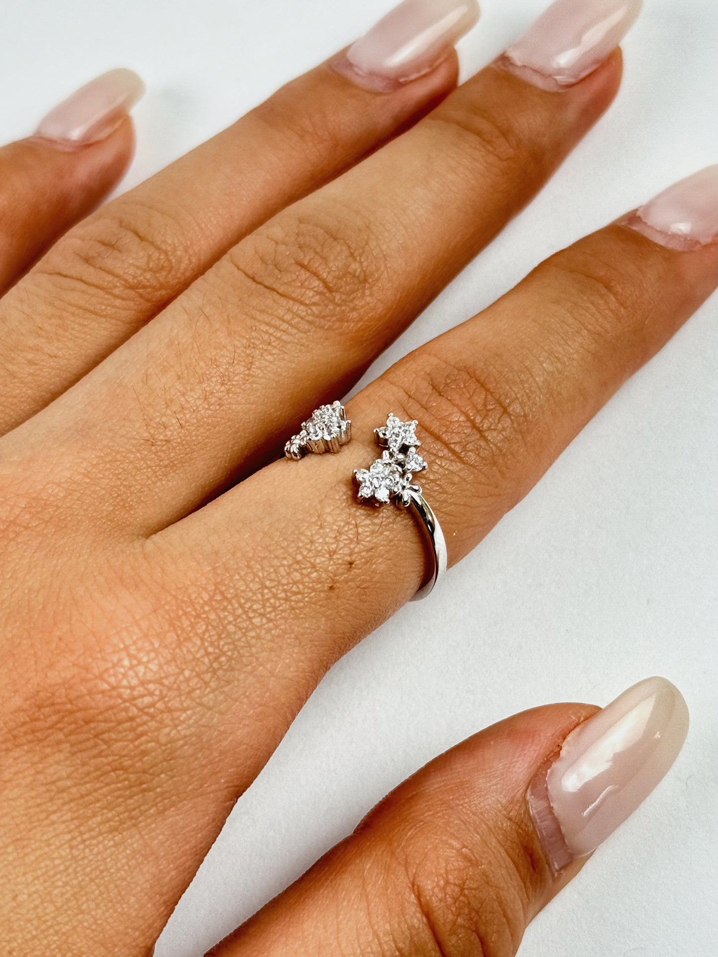 Garden Ring