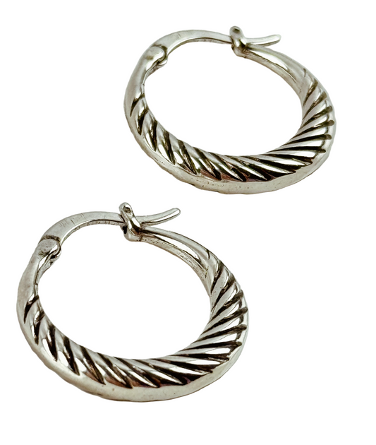 Aryana Hoops
