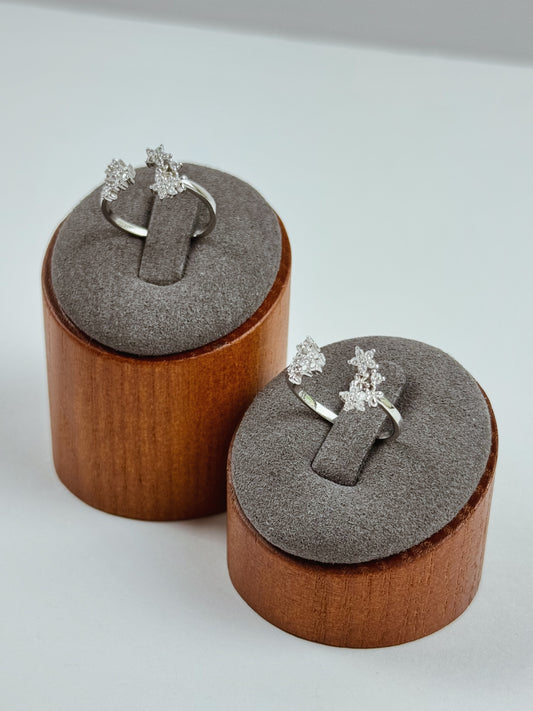 Garden Ring